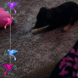 Meet your Posher, Madison